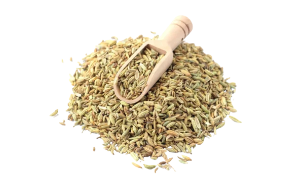 Organic Fennel Seeds