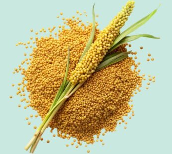 Organic Barnyard Raw Millet