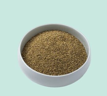 Organic foxtail raw millet