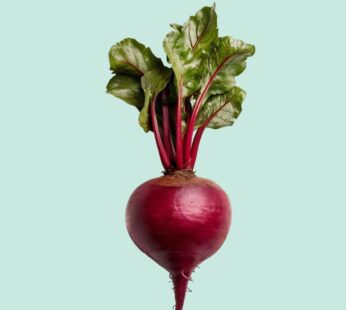 Organic vacuum packed beetroot