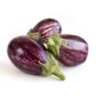 Brinjal