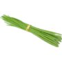 Drumstick