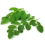 Drumstick leaves