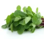 Gongura Leaves