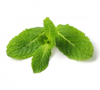 Mint leaves