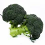Organic Broccoli