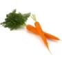 Organic Carrot 700 gm