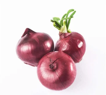 Organic Onion