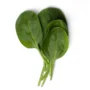 Organic spinach