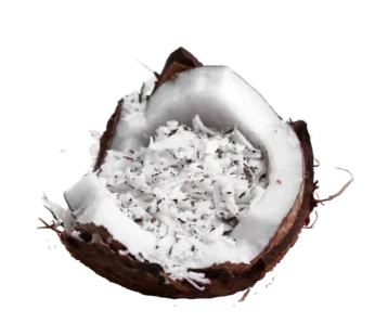 Organic Coconut Desiccated