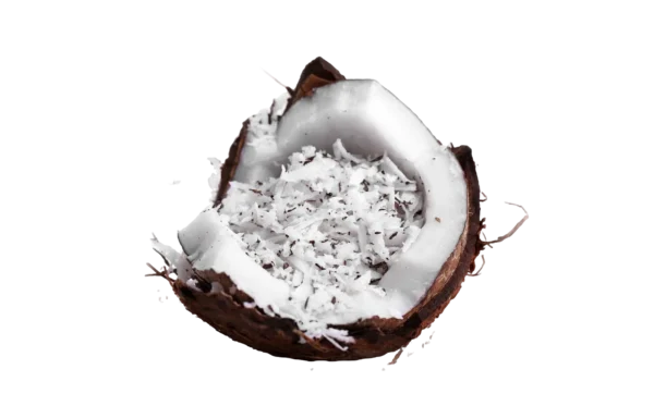 Organic Coconut Desiccated 200gm