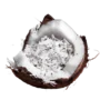 Organic Coconut Desiccated 200gm