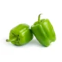 Capsicum