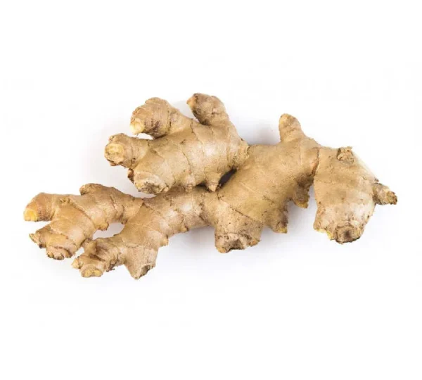 Traditional Ginger