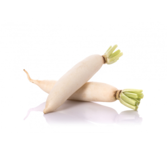 White Radish (Daikon)