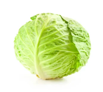 Cabbage