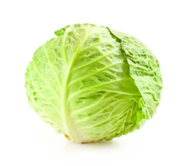 Cabbage
