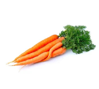 Carrot