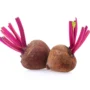 Beetroot