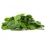 Spinach