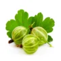 Gooseberries